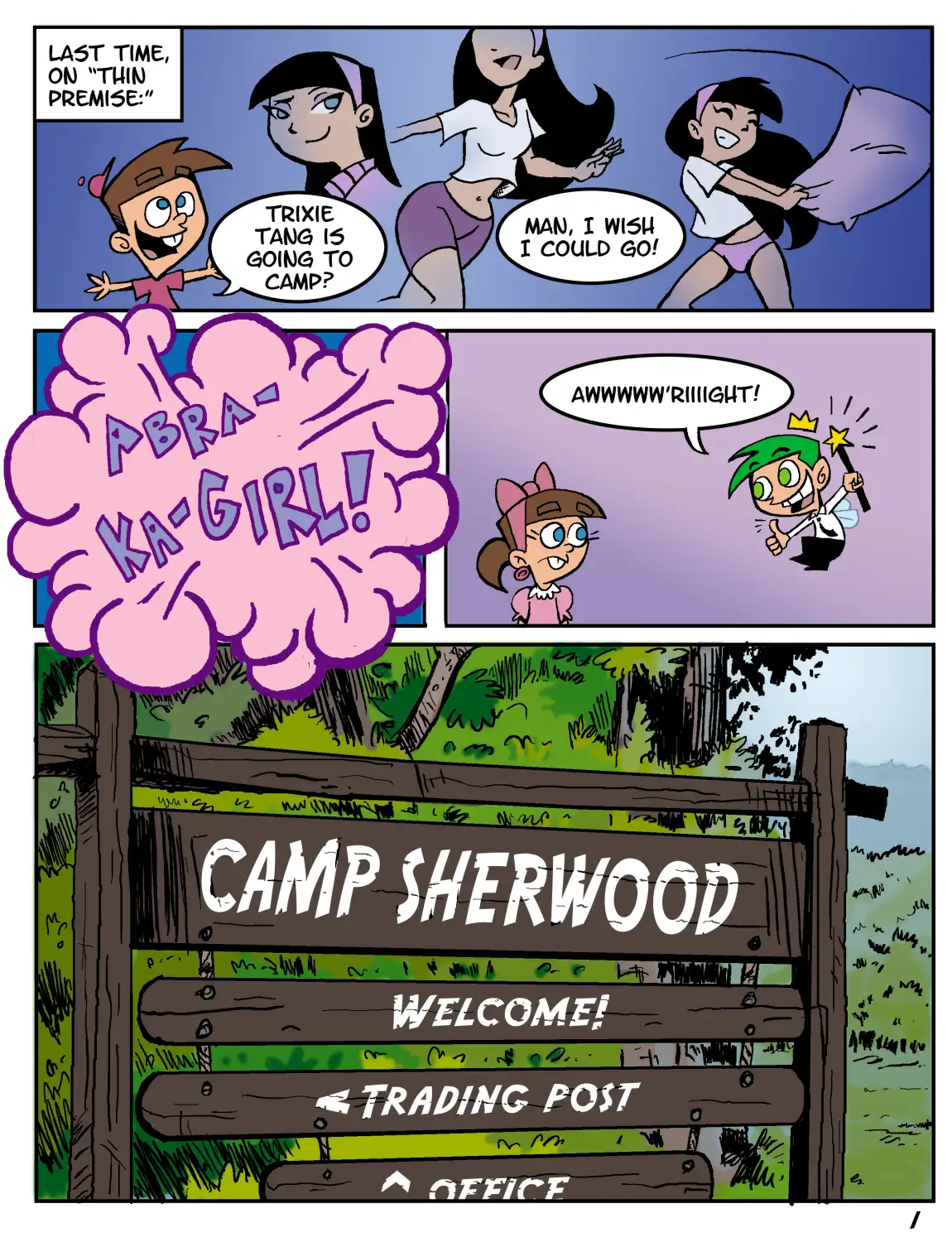 Camp Sherwood Mister D